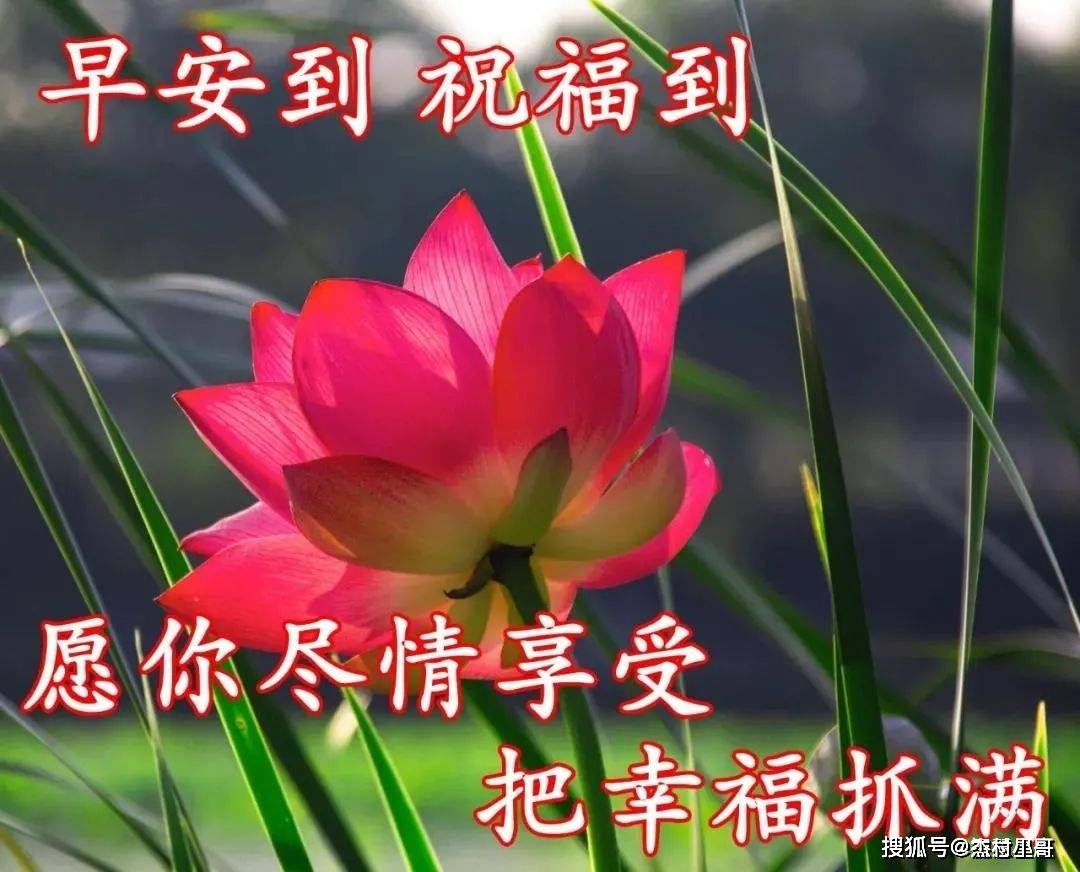 月日年还是日月年_2023年4月12日_德国日期怎么看日月年