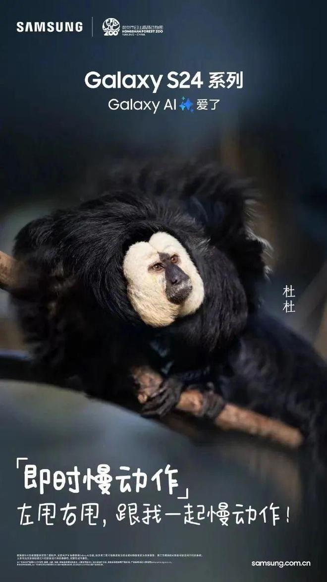 努阿达王子的矛_努阿达王子和公主_努阿达