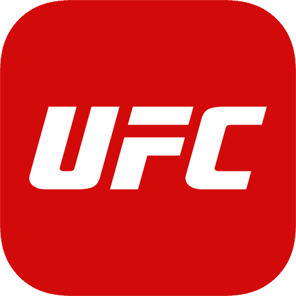 ufc2009游戏手机版-UFC2009 手机版：便携性与激