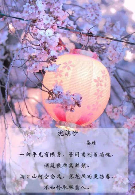 落花冷夜夕是什么意思_夜夜看落花_夜夜看落花谜语