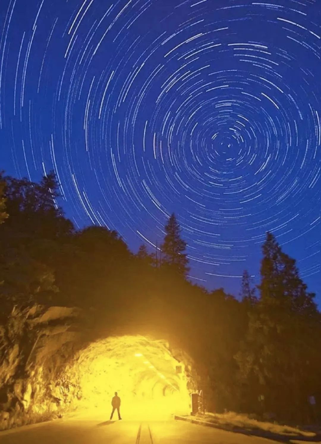 大藏游星身份暴露_大藏游星_大藏游星为什么恶心