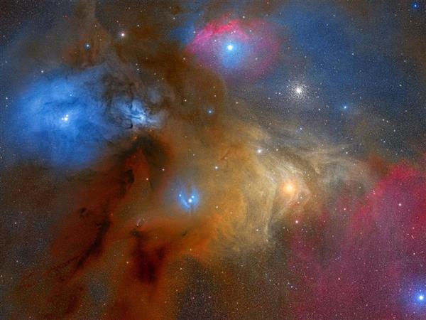 大藏游星身份暴露_大藏游星_大藏游星为什么恶心
