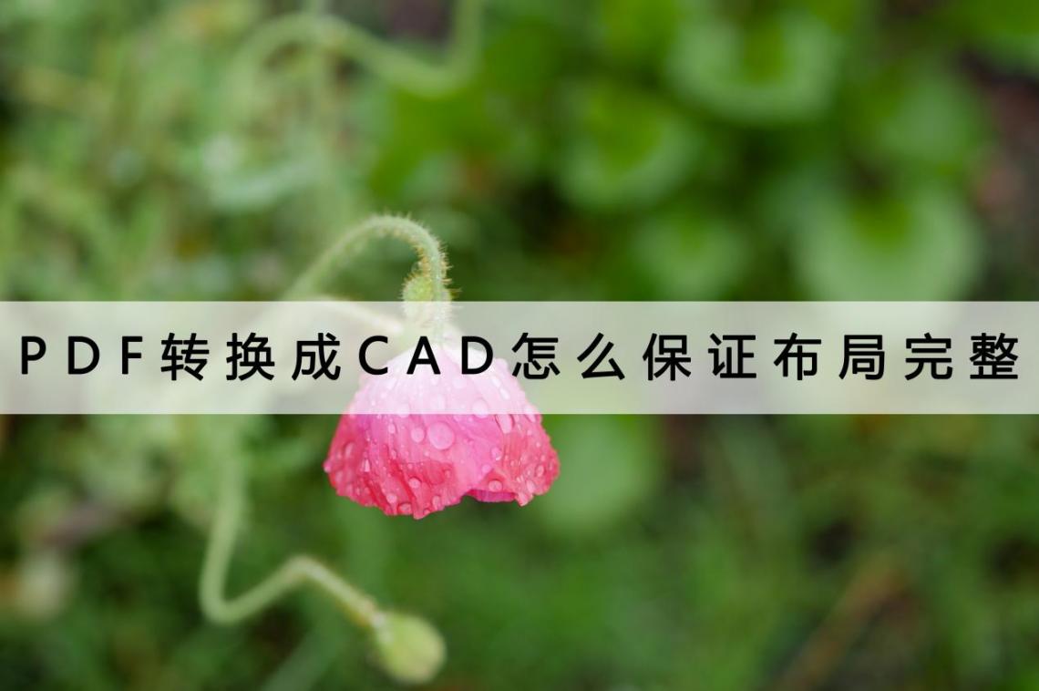 cad如何画弯弯曲曲的线_cad如何绘制弯曲的线_cad如何画随意弯曲的线