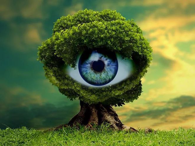 半夜手机打游戏-半夜打游戏：是逃避现实的孤独狂欢，还是寻找自