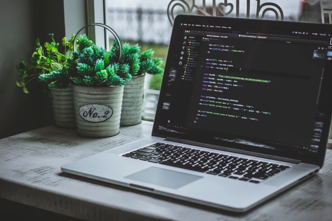 二外学哪个语言好_python与r语言哪个好_编程入门学哪种语言好