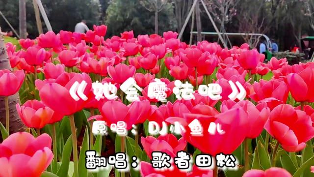 卡侬_侬卡迪健身_侬卡迪官网