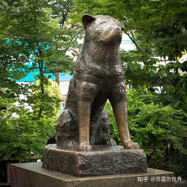 忠犬八公电影免费完整版下载_电影忠犬八公国语版_忠犬八公电影播放免费播放