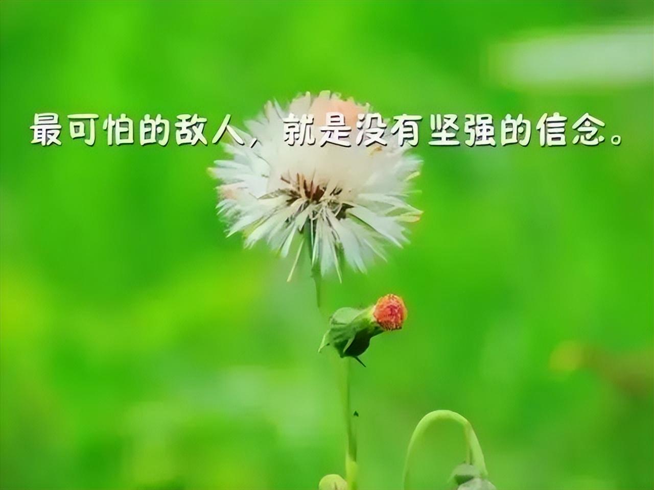 梦幻诛仙武器启灵_刀剑巫灵加力还是元神_启灵元神