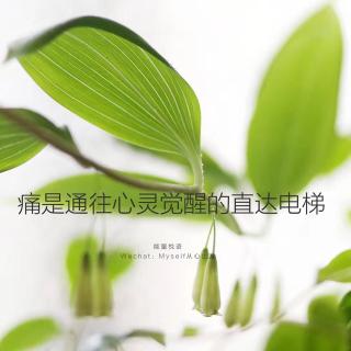 刀剑巫灵加力还是元神_启灵元神_梦幻诛仙武器启灵