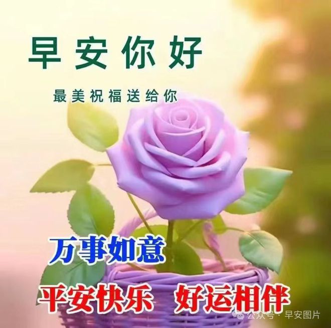卫生世界日是每年的哪一天_卫生世界卫生组织_世界卫生日