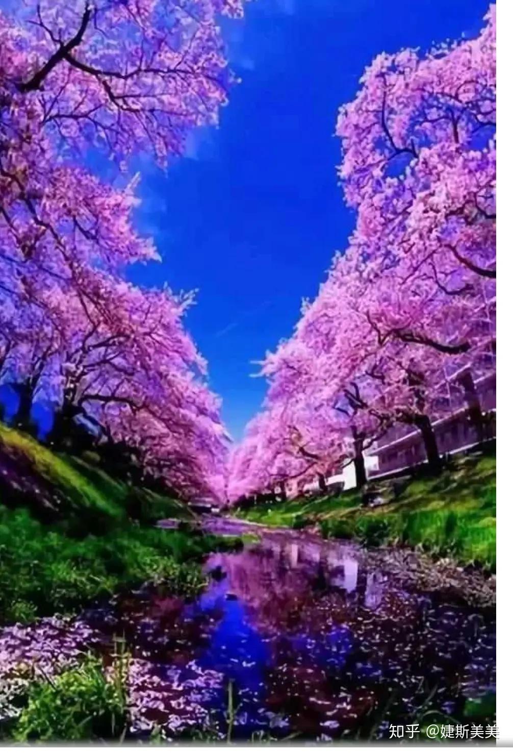 卫生世界卫生组织_卫生世界日是每年的哪一天_世界卫生日