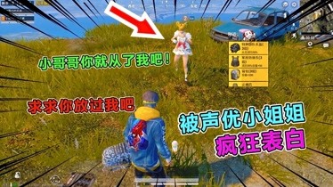 搞笑吃鸡游戏叫什么名字_超级搞笑吃鸡手机版游戏_搞笑吃鸡长什么样