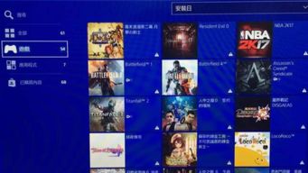 ps4可以玩破解游戏吗,揭秘破解与风险并存的世界