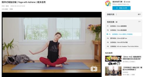 瑜伽课游戏,游戏与冥想共融的身心之旅