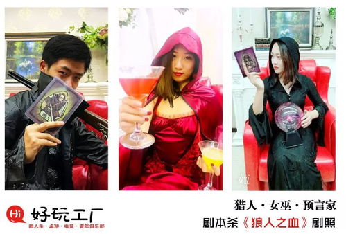 真人角色扮演推理游戏,揭开真人角色扮演推理游戏背后的真相