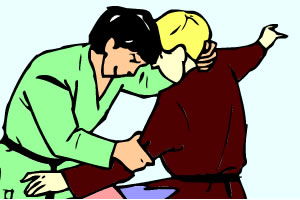 柔道小游戏,挑战与荣耀的竞技之旅