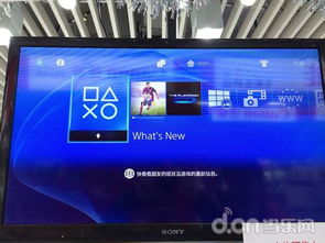 ps4游戏锁区吗,PS4游戏全球锁区政策解析