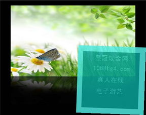 秦皇岛游戏厅,欢乐时光的电竞乐园