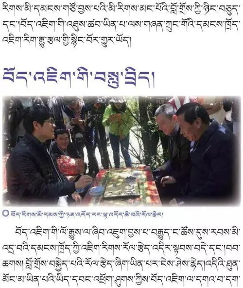 藏文游戏,探寻神秘高原的数字传承