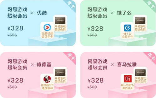 网易游戏高端客户专员,打造卓越服务体验的幕后英雄