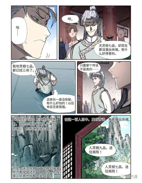 测灵根游戏,探寻命运轨迹