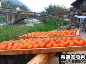 大型户外游戏策划方案,大型游戏策划方案深度解析