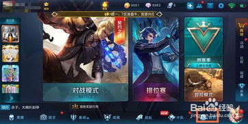 王者荣耀游戏中怎么看段位,揭秘段位生成背后的秘密