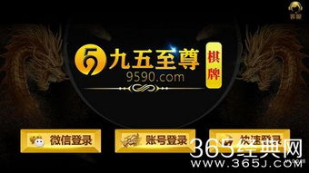九五至尊游戏平台网址,网址背后的娱乐盛宴